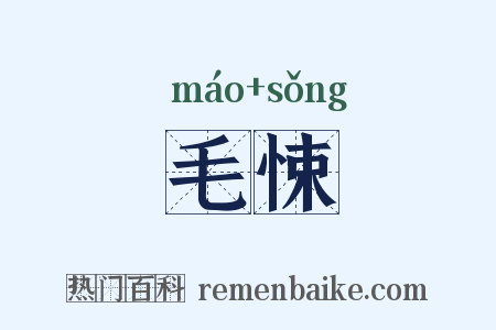 毛悚是什么意思的图片